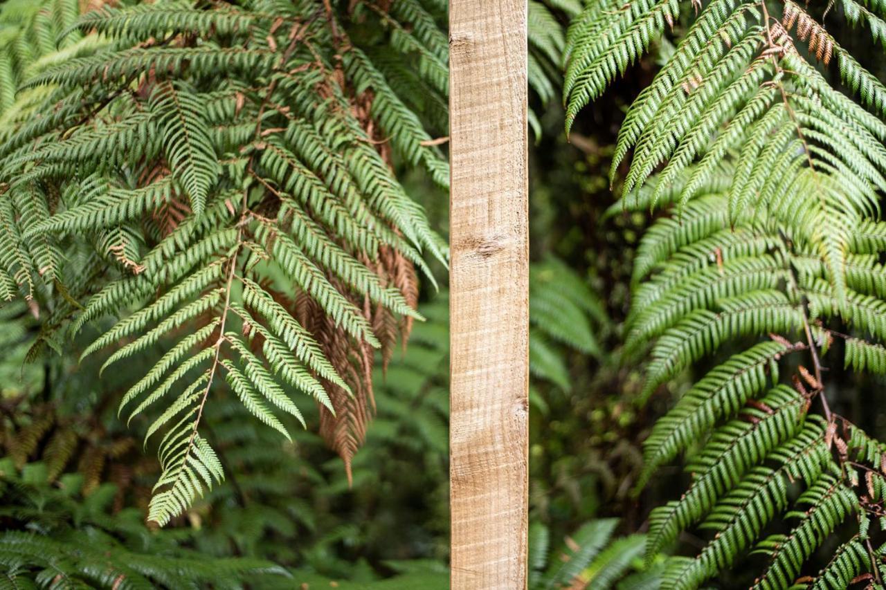 Punakaiki Treehouse Limited Zewnętrze zdjęcie